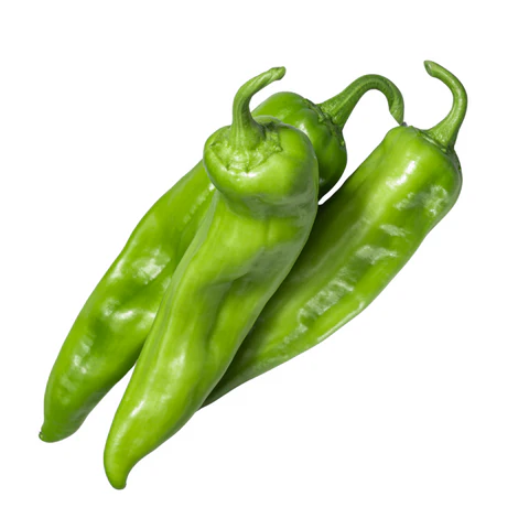 poivron-corne-de-boeuf-vert