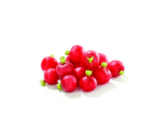 RADIS ROUGE ÉQUEUTÉ