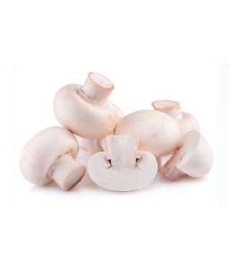 champignon-de-paris-pied-coupe