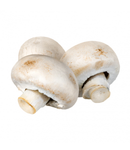 champignon-parfume-frais-sh-iitake