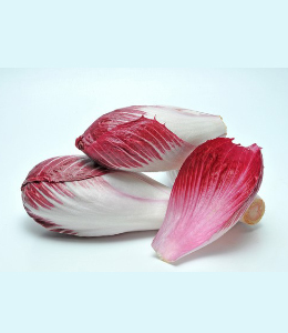 endive-rouge