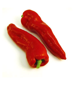 poivron-corne-de-boeuf-rouge