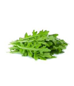 roquette