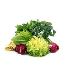 SALADE MELANGEE SOUS VIDE feuilles découpées