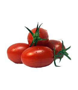 TOMATE CERISE ALLONGÉE