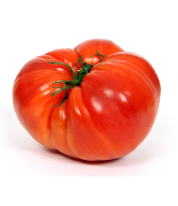 TOMATE CŒUR DE BOEUF
