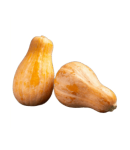 courge-butternut