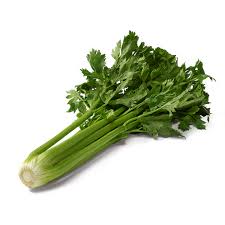 celeri-branche