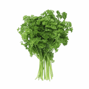 persil-frise-persil-plat