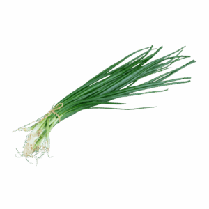 ciboulette-thailandais-e